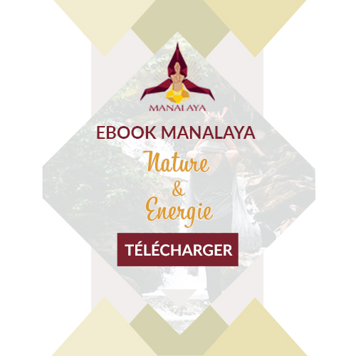 Ebook Manalaya à télécharger